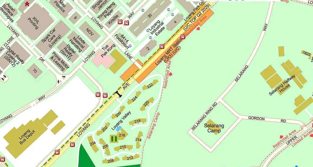 Loyang Valley Residences site map showing Loyang MRT Station CR3 Cross Island Line location on Loyang Avenue District 17 Singapore